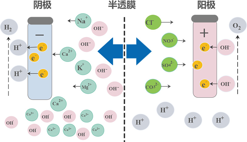 jishuyuanli-99a37.jpg